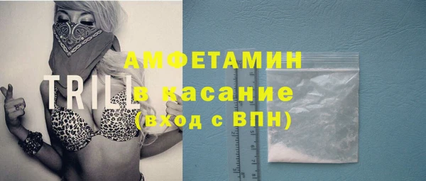 гашик Алексеевка