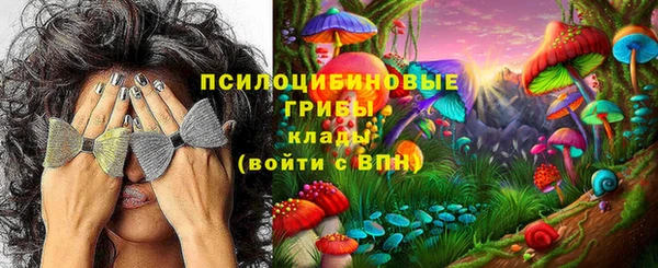 гидра Абдулино